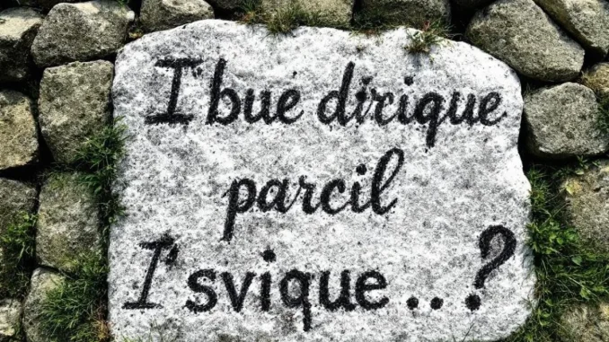 droit-des-assurances