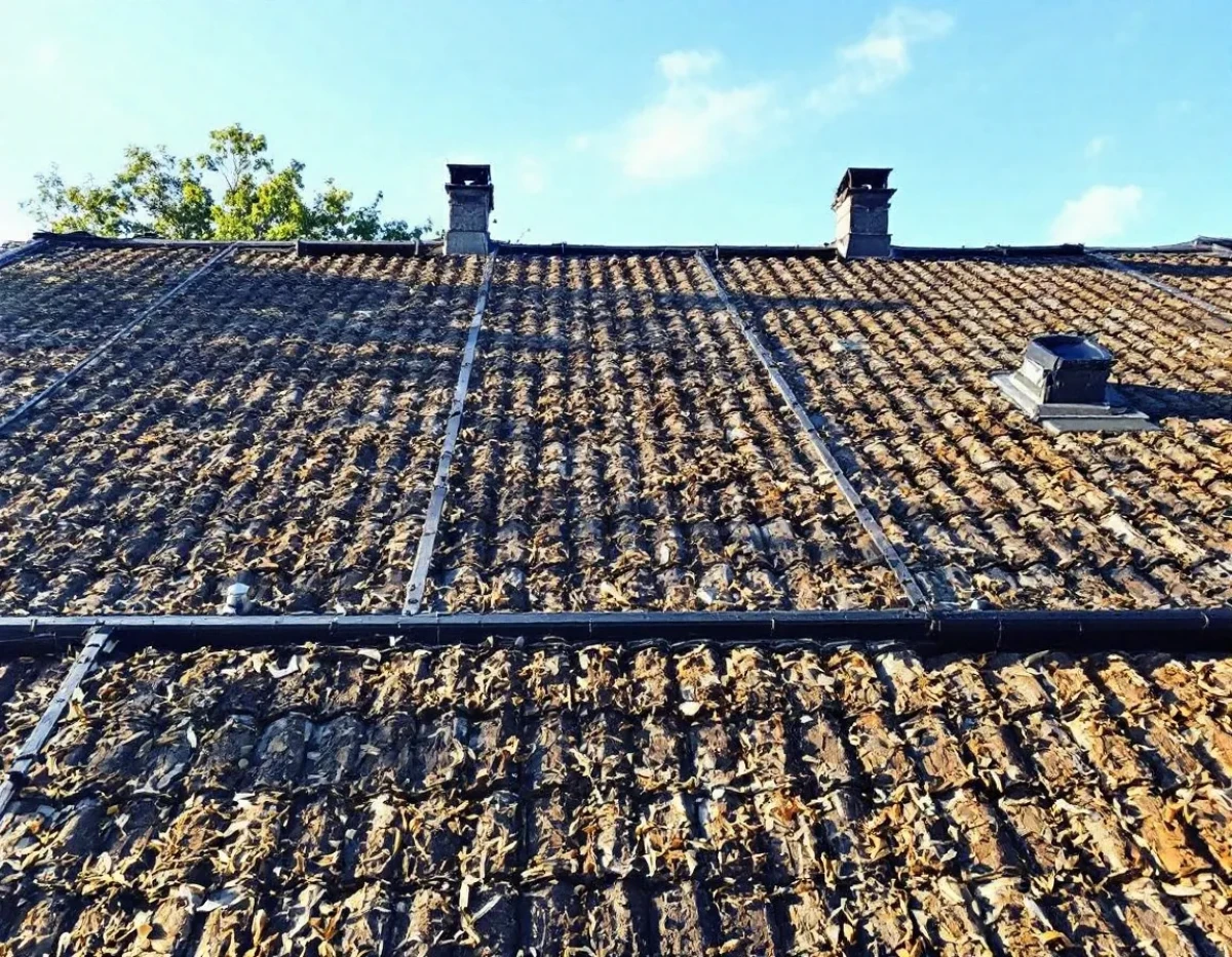 Assurance Habitation : Comprendre et Optimiser Votre Couverture